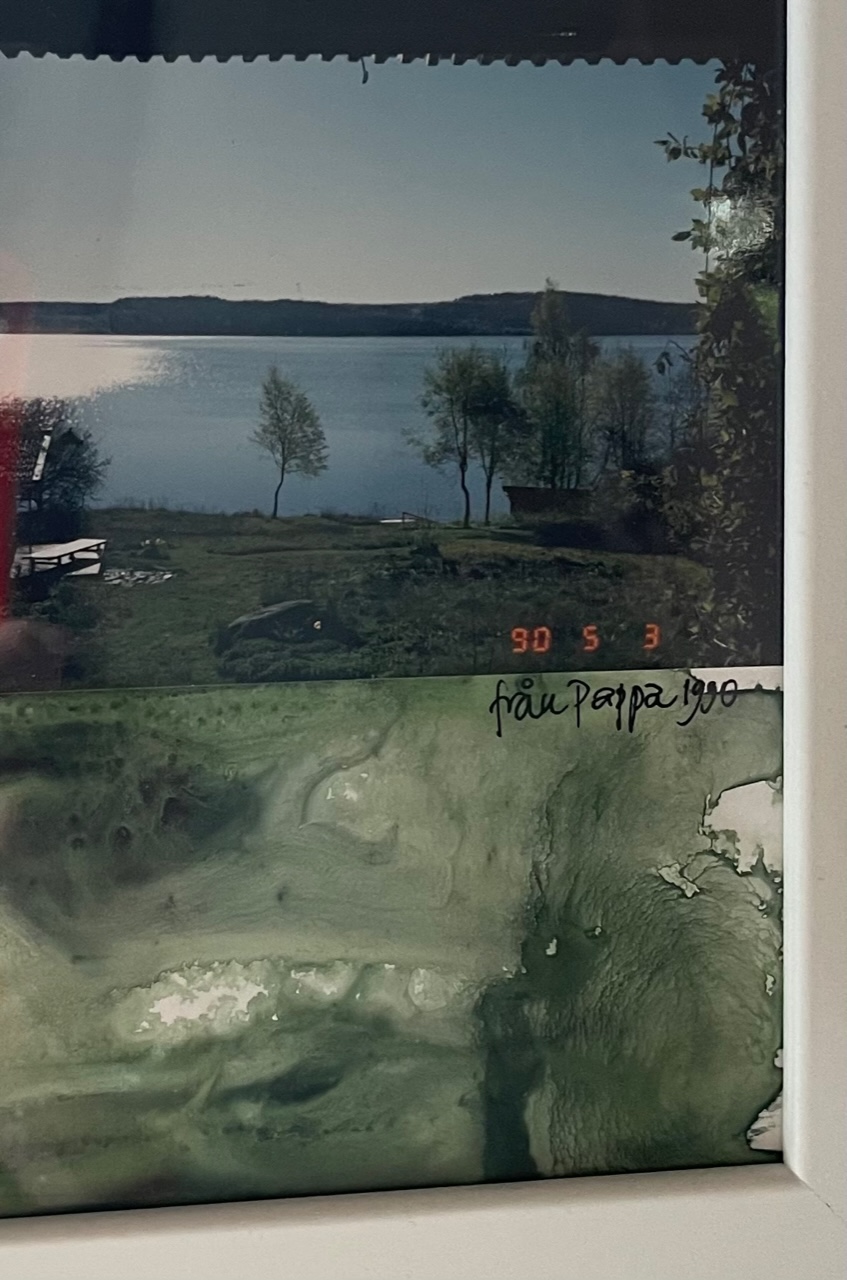 Foto på foto av grässlänten med träd, taget 1990